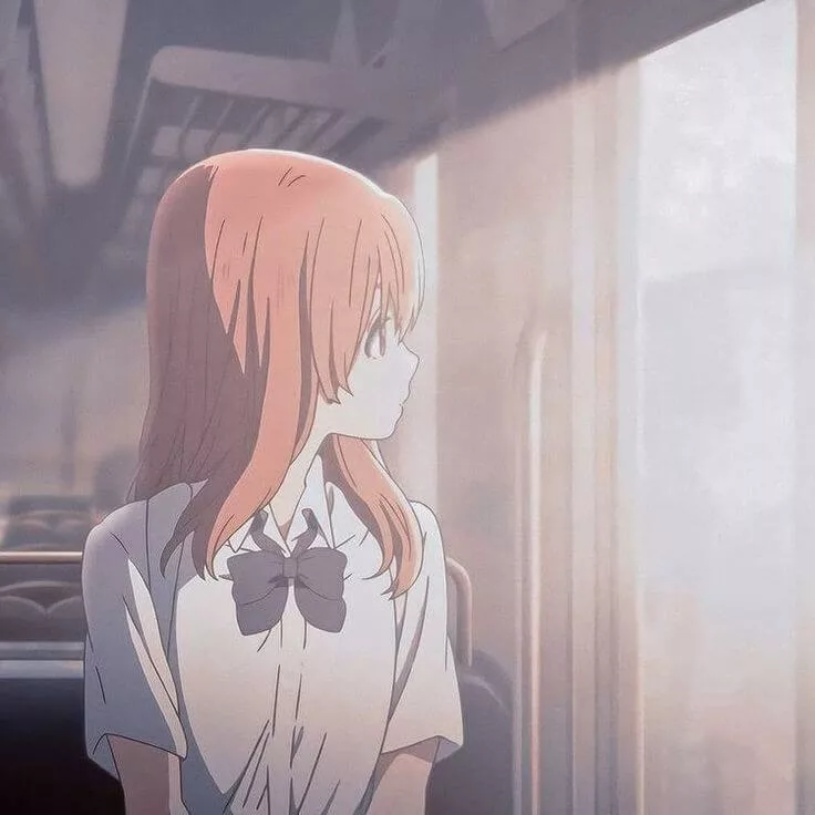 Hime sama anime matching pfp